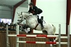Hingstekollektion Helgstrand Dressage 3:6
