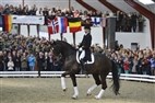Andreas Helgstrand og Akeem Foldager