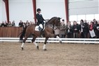 Clinic hos Helgstrand Dressage