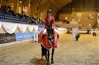 DM-finale indendørs kat. I ponyer