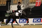 JBK Horse Show 2011 | 4-års champ. finale - Øgårdens Chanel