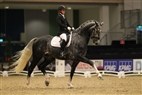 JBK Horse Show 2011 | 6-års champ. finale - Cassio