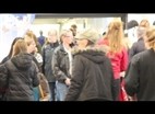 Dansk Varmblods hingstekåring 2013 | Stemningsvideo