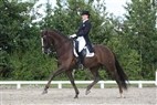 DM junior- og ungryttere | Carina Nevermann Torup og Blue Boy