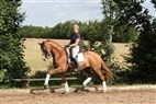 Interview med Ditte Mikkelsen
