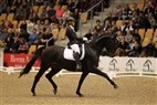 JBK Horse Show 2011| 5-års champ. finale - Golden Hope´s Carisma
