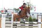 First Horse Pony DM | Springfinale for kat. I ponyer