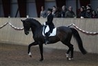 B-stævne Hjallerup 2012 | Grand Prix Special - Lotte Vagner og Tannenhof's Solero 