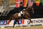 JBK Horse Show 2011 | 4-års champ. finale - Bøgegårdens Boney M