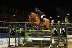 DV Hingstekåring Herning 2012 | Grand Prix Springning - Del 1