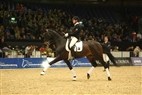DV Hingstekåring Herning 2012 | Rudolf Zeilinger Clinic