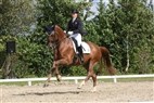 DM junior- og ungryttere | Cathrine Dufour og Atterupgaards Cassidy