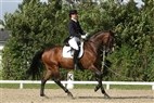DM junior- og ungryttere | Henriette Dam Vestergaard og Leopold