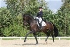 DM junior- og ungryttere | Anne Sofie Aaen og Phantom