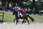 DM Broholm 2012 | Sidsel M. Johansen