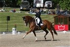 DM Broholm 2012 | Louise Zinglersen