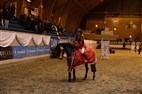 DM-finale indendørs kat. III ponyer
