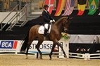 JBK Horse Show 2011 | 6-års champ. finale - Romando
