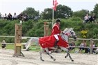 DM pony | præmieoverrækkelse spring kat. II