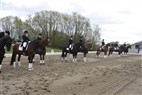 Jysk Mesterskab i dressur 2010 - Vinderne