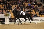 JBK Horse Show 2011 | 4-års champ. finale - Schakiro Pilekær