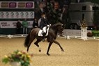 JBK Horse Show 2011 | Vinderen af DRF championat 5-års