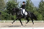 DM junior- og ungryttere | Marie-Louise Larsen og Romar