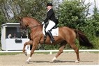 DM junior- og ungryttere | Camilla Hylager og Calexia Vibeholm