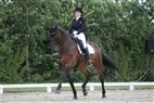 DM junior- og ungryttere | Rikke Sofie Bøllingtoft og Finale