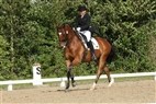 DM junior- og ungryttere | Emma Holm Westergaard og Pantani