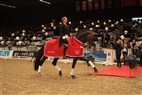 DV Hingstekåring Herning 2012 | Grand Prix Dressur Edward Gal