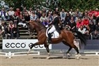 DM Broholm 2012 | Anne Van Olst