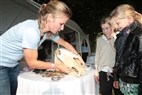 Store Hestedag | Interview med hestetandlæge Christina Suntum Sørensen