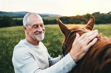 Heste modvirker ensomhed