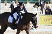 Hest til salg - A LARMING CHARM