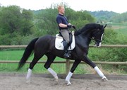 Hest til salg - DIANA EG