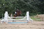 Hest til salg - KYARA