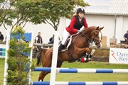 Hest til salg - SONJA