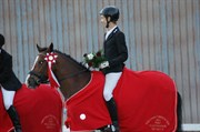 Hest til salg - OKAY TEMPO