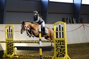 Hest til salg - ANNIE