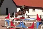 Hest til salg - TAARUPGAARDS LONDON