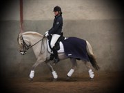 Hest til salg - TULLE