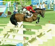 Hest til salg - HVID'S LA DIVINA
