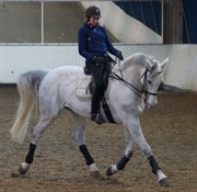 Hest til salg - SANTANI