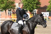 Hest til salg - GRIBSVAD BONNY