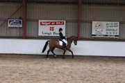 Hest til salg - KESSO