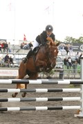 Hest til salg - LOTJE