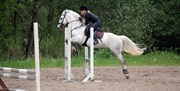 Hest til salg - ANOTHER CORREEN