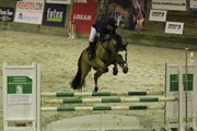 Hest til salg - HUGO SIMON