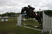 Hest til salg - COREL GARBO SLOT